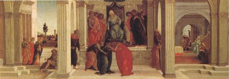 Filippino Lippi Three Scenes from the Story of Esther Mardochus (mk05) oil painting picture